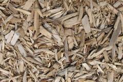 biomass boilers Ruglen