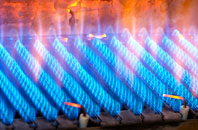 Ruglen gas fired boilers
